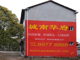 宿松百分之90的人都不了解的农村墙体广告