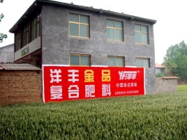 宿松如何让墙体广告展现最大化效果