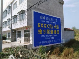 宿松墙体广告质量分析