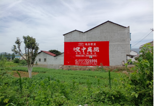 宿松做墙体广告的意义
