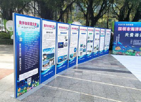 宿松KT板的种类和知识。